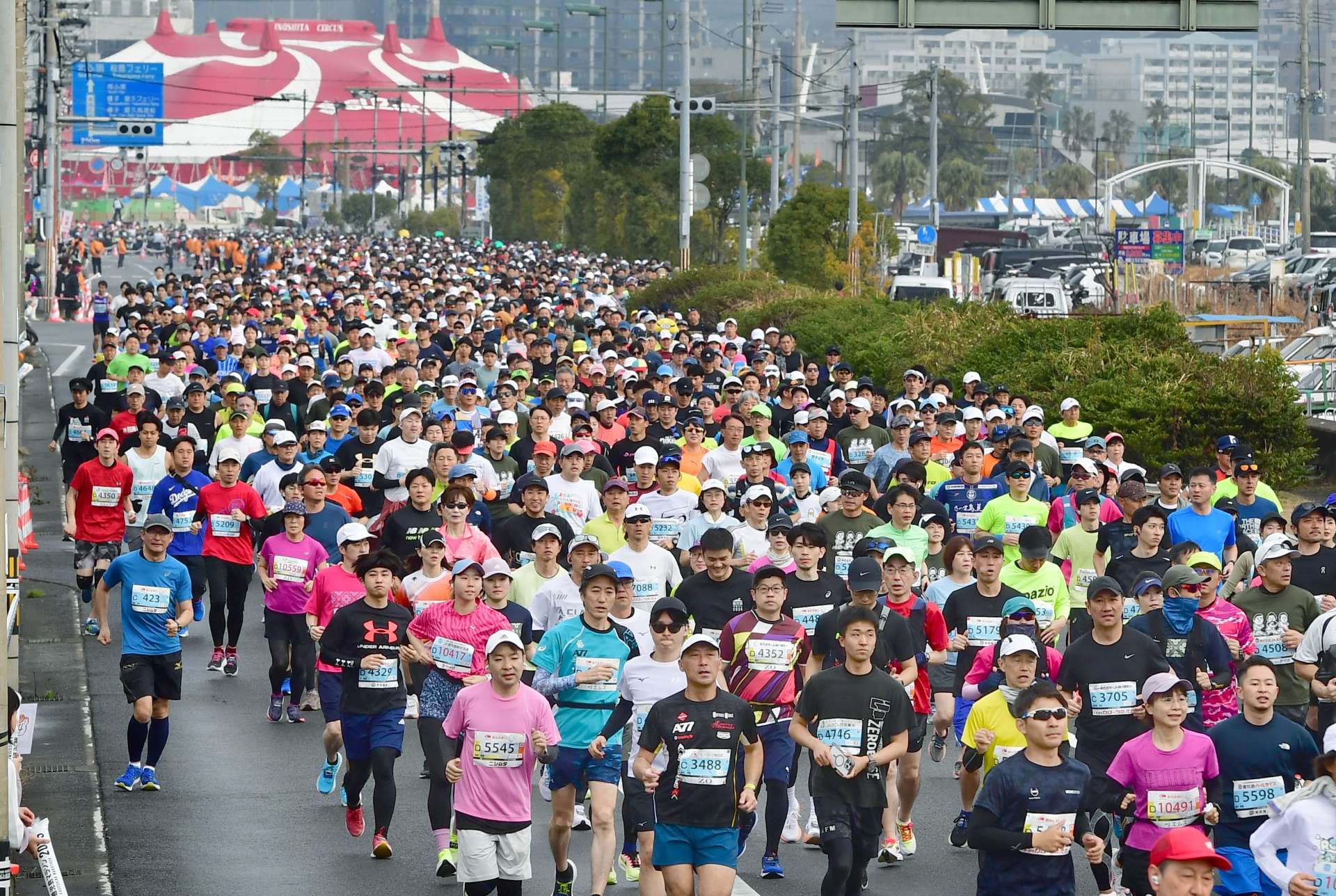 完走を目指して、一斉にスタートするランナー＝２日８時３８分、鹿児島市南林寺町