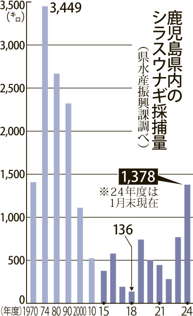 〈関連〉１９７０年以降の年度別シラスウナギ採捕量をグラフで見ると一目瞭然（県水産振興課調べ）