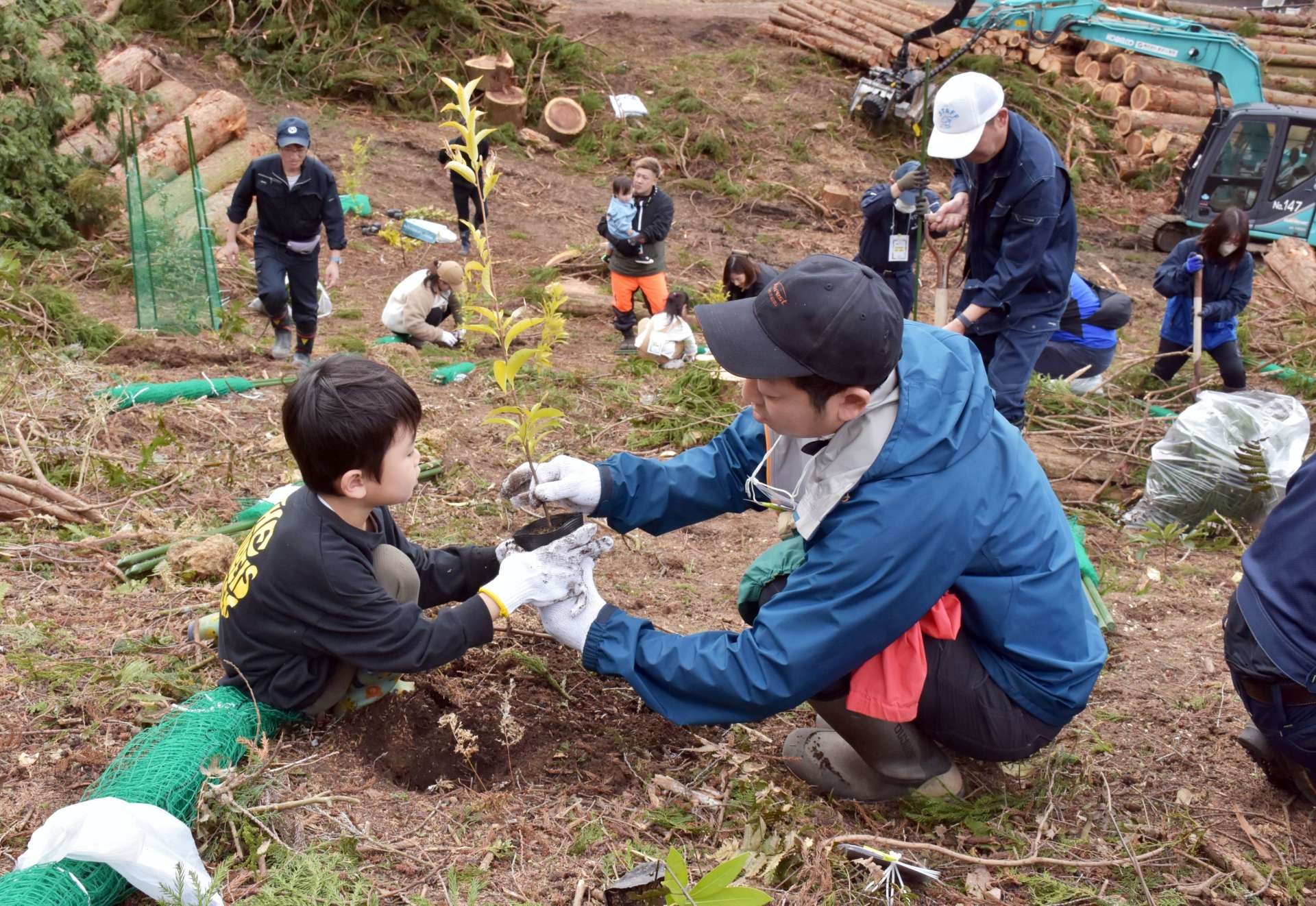 力を合わせて苗木を植える参加者ら＝阿久根市山下