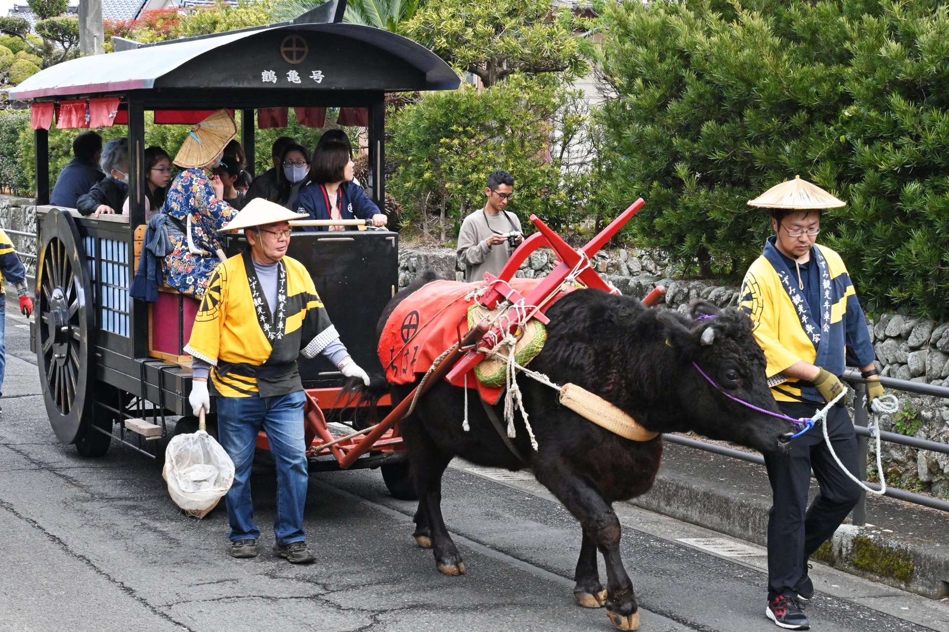 御所車を引く「ちはる」。この日が最後の出番となった＝２日、出水市野田町上名