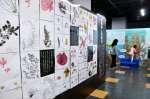 海藻の魅力を伝える特別企画展＝１４日、鹿児島市のかごしま水族館