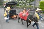 ７代目としてデビューした「いずみ」＝５日、出水市麓町