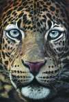 絹谷香菜子「瞳のさきに潜む思い　Ｌｅｏｐａｒｄ」２０２２年、岩絵具、墨、和紙、１９４×１３０．３センチ　