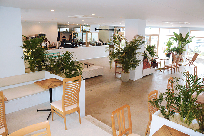 磯ビーチハウスを改装した店内。観葉植物をふんだんに配し、トロピカルな雰囲気を演出する