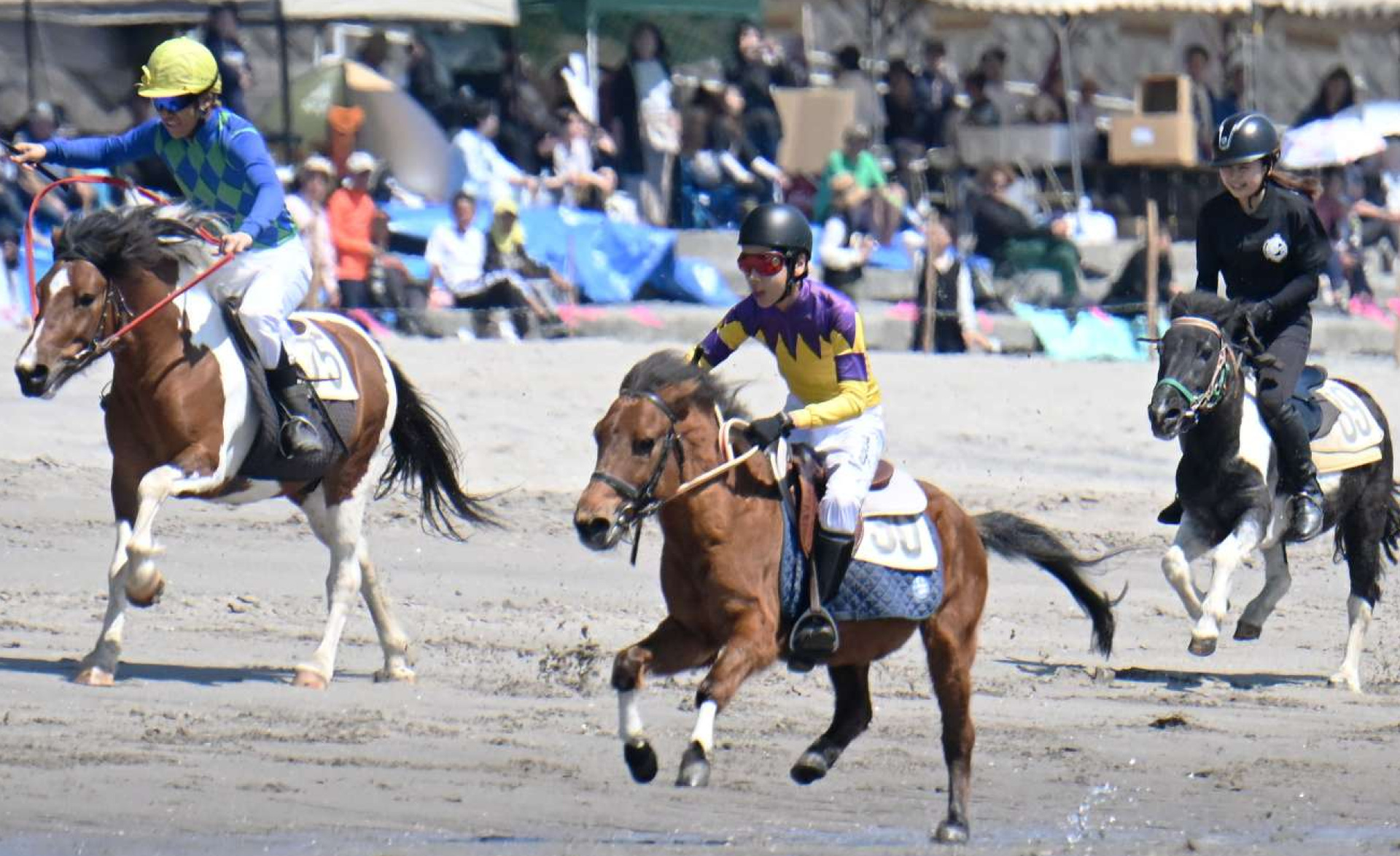 波打ち際を駆けるポニー＝２７日、いちき串木野市の照島海岸