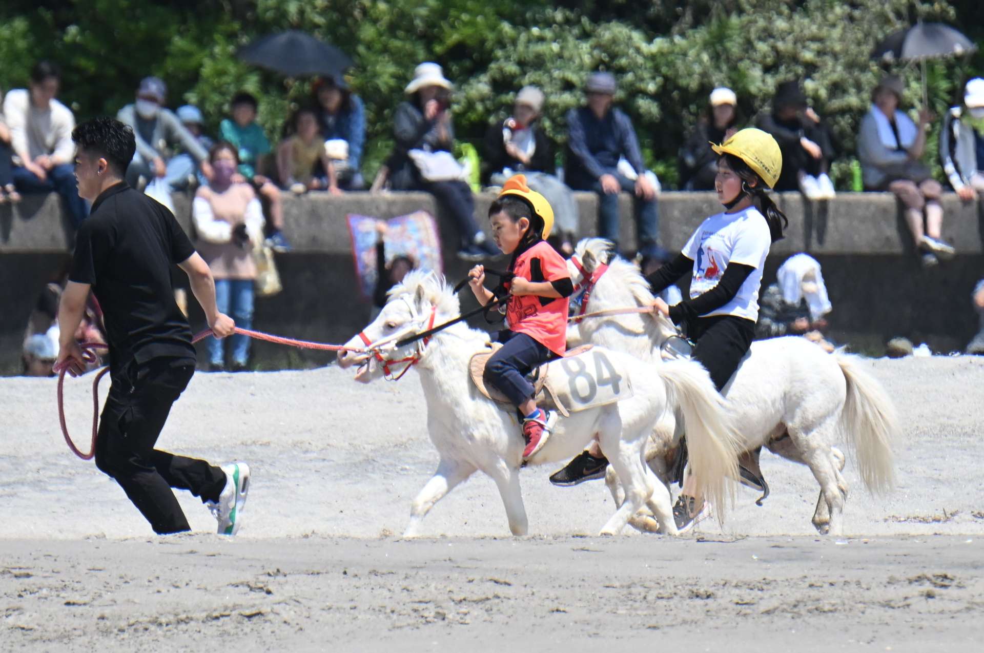 〈別カット〉ポニーにまたがり、浜辺を走る子どもジョッキー＝２７日、いちき串木野市の照島海岸（動画あり）