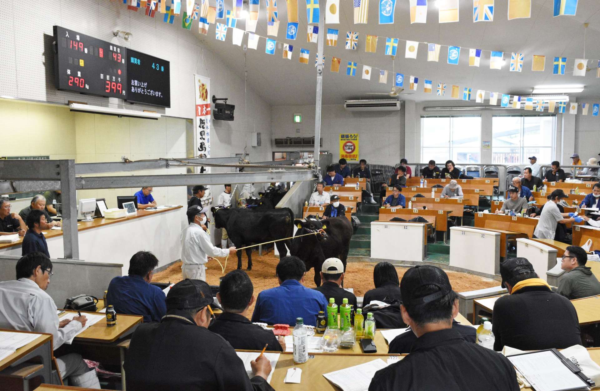 種子島家畜市場で開かれる子牛の競り＝２０２４年１０月、中種子町