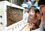 ミツバチを観察する園児＝薩摩川内市の水引こども園