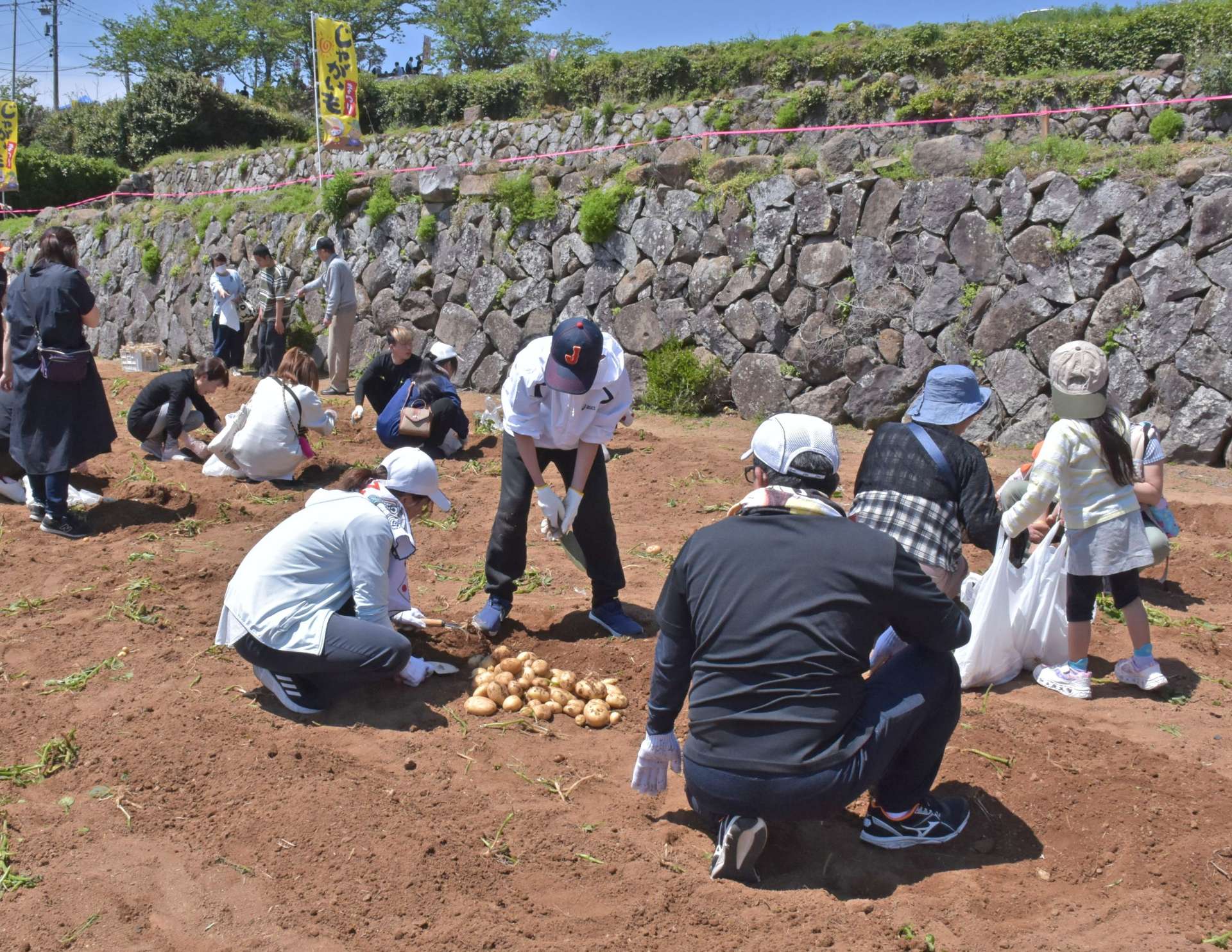 収穫体験で大きなジャガイモを手に笑顔の家族連れ＝長島町指江