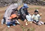 収穫体験で大きなジャガイモを手に笑顔の家族連れ＝長島町指江