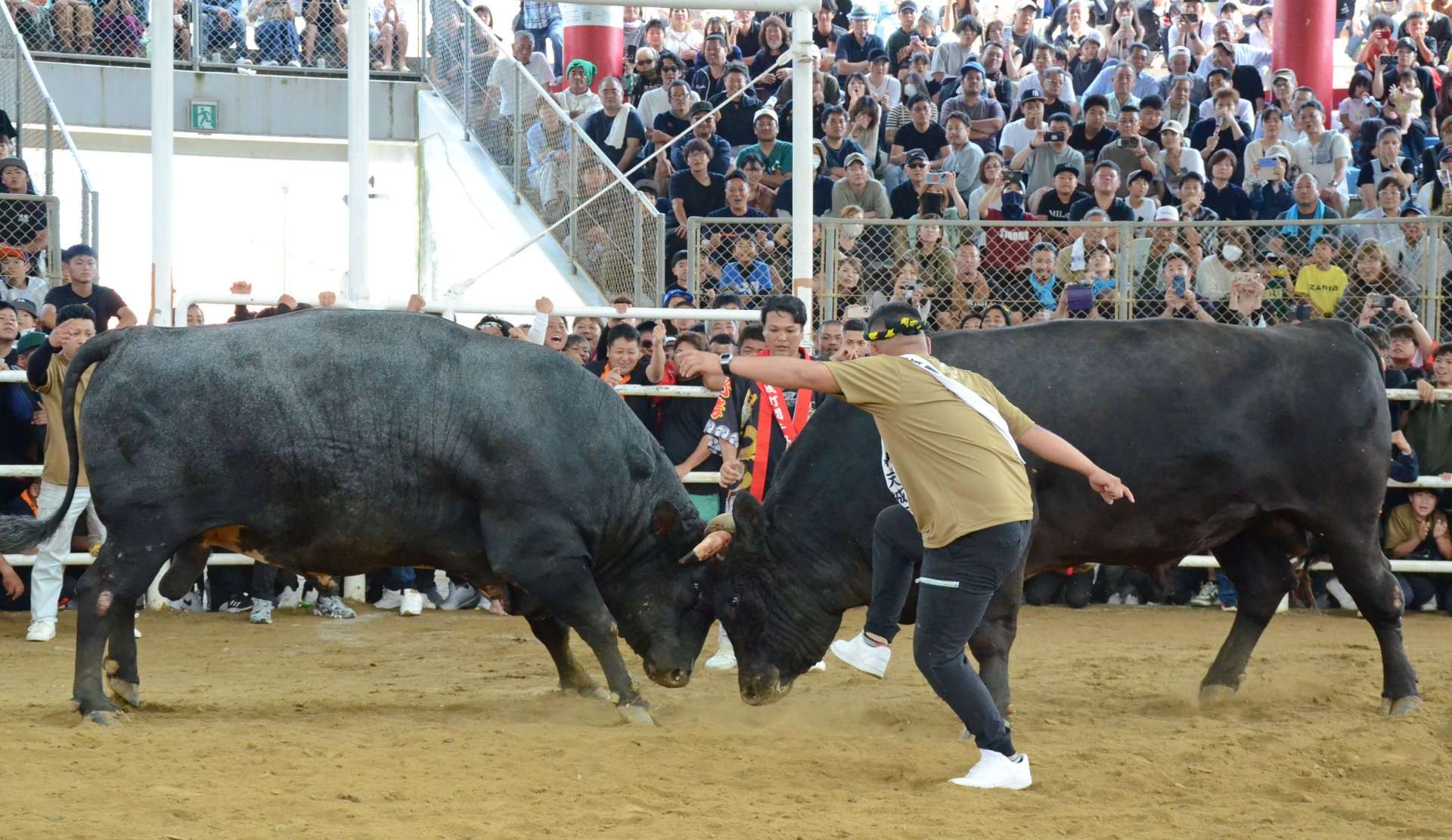激しい攻防戦を繰り広げる二代目力道山（右）と豊島幸輝心（左）＝４日、伊仙町目手久の徳之島なくさみ館