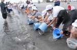 ヒラメの稚魚を放流する児童ら＝指宿市の指宿港海岸