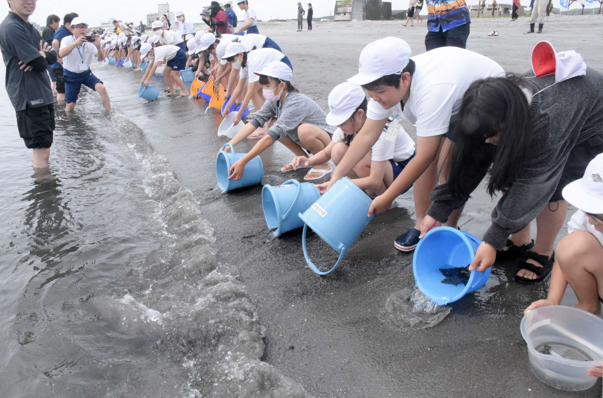 ヒラメの稚魚を放流する児童ら＝指宿市の指宿港海岸