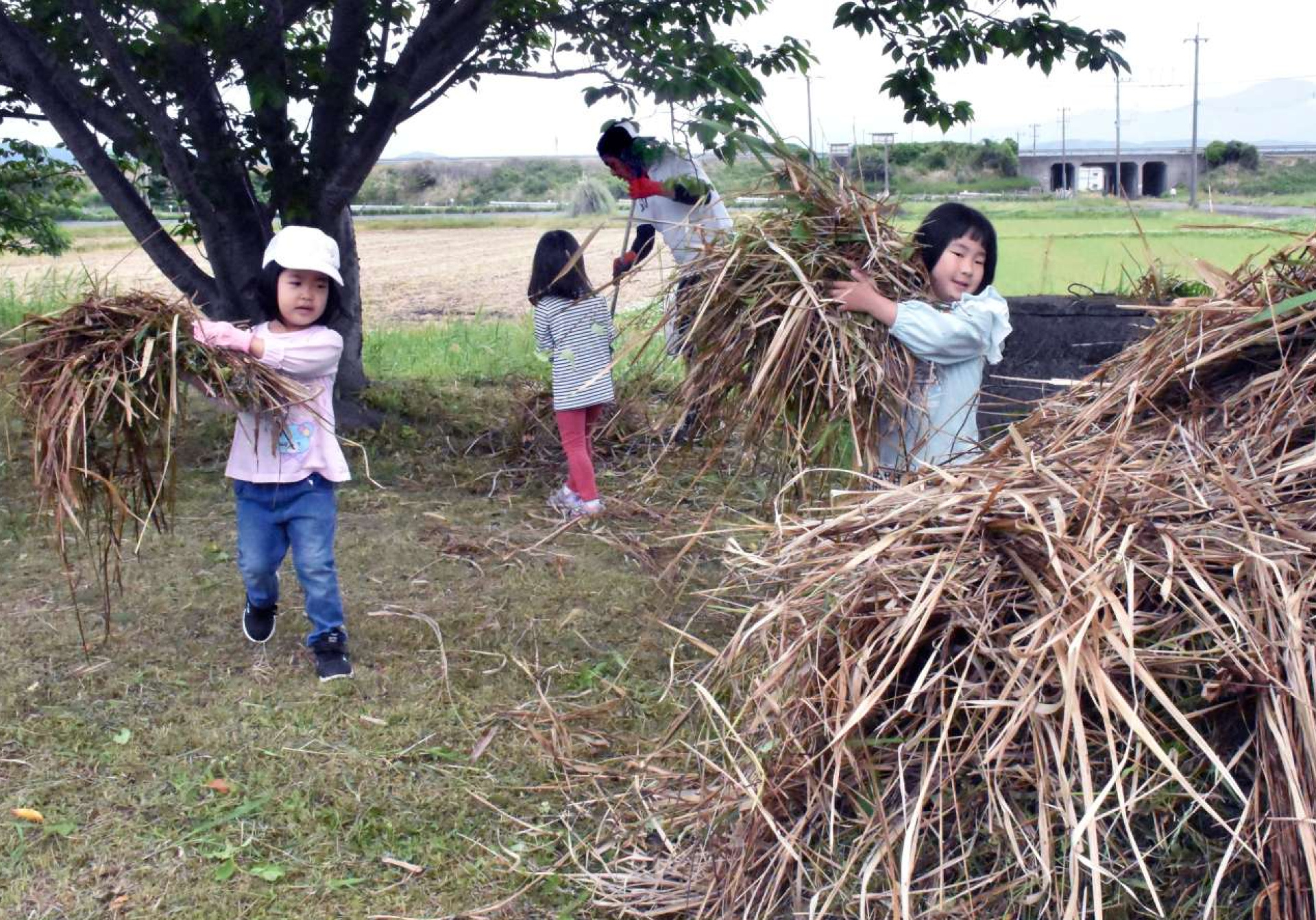 刈った草を集める子どもたち＝霧島市国分広瀬