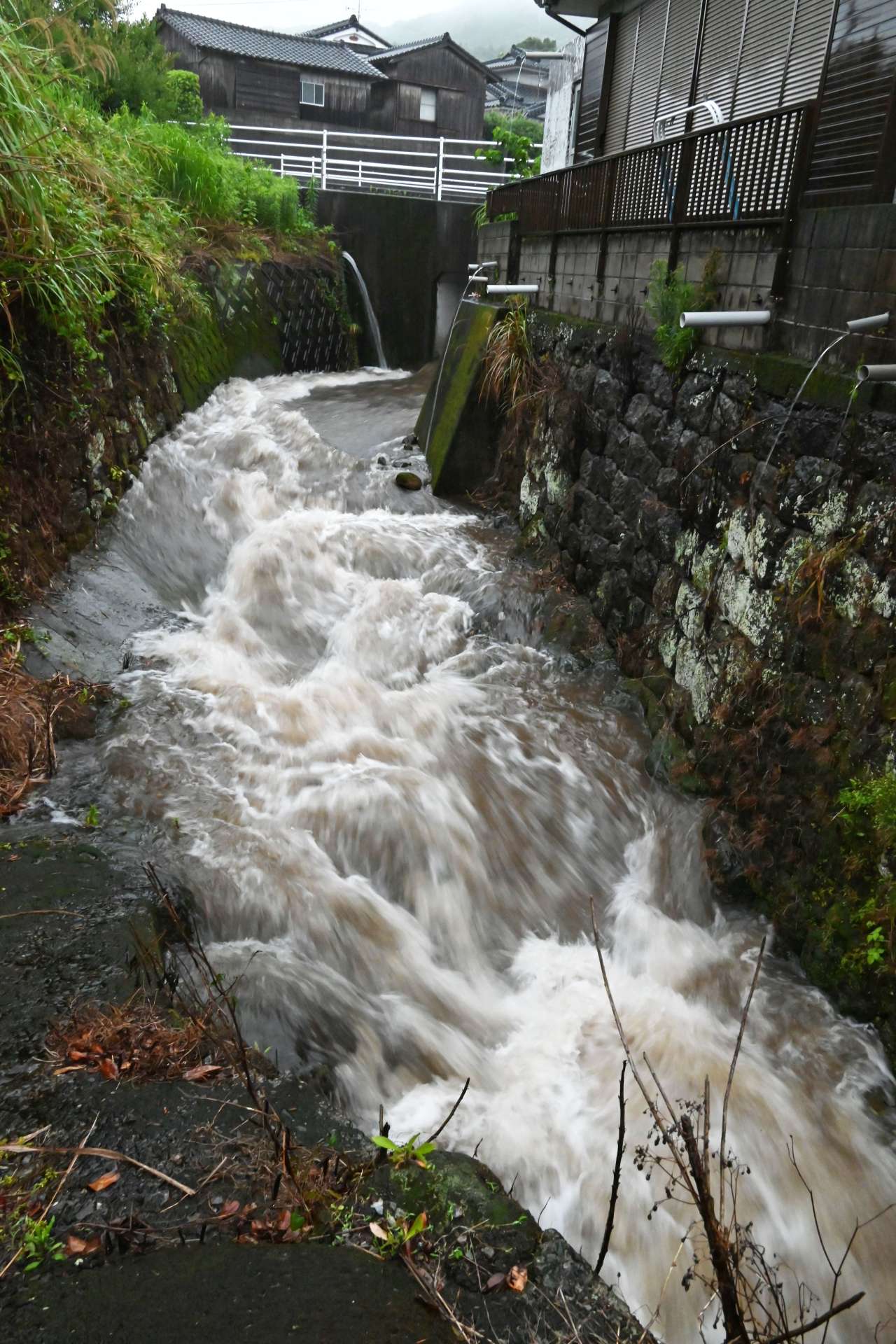 〈関連〉大雨で増水した川＝２４日午前１１時すぎ、南さつま市坊津町泊