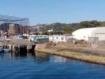 現在の旧鹿児島貯木場＝２０２３年１２月、鹿児島市浜町