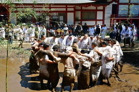 豊作を願って飛び跳ねる踊り手たち＝１日午前、日置市日吉の日置八幡神社