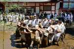 豊作を願って飛び跳ねる踊り手たち＝１日午前、日置市日吉の日置八幡神社