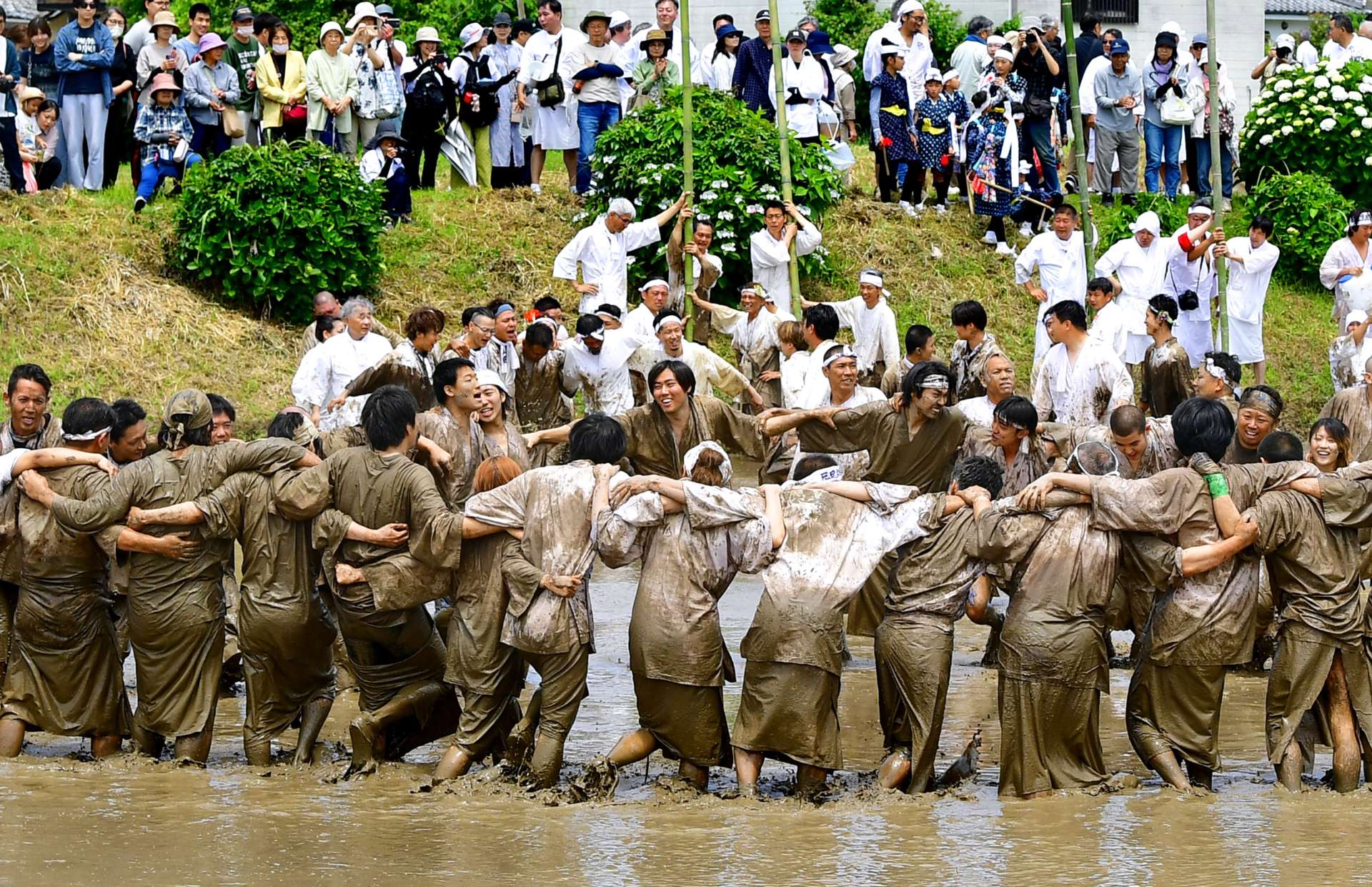 豊作を願って神田で飛び跳ねる青年たち＝１日午前、日置市日吉