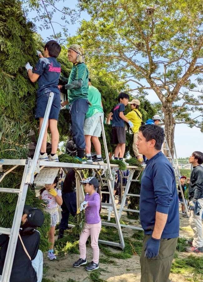 緑門作りに励む春山友の会のメンバーら＝鹿児島市の春山小学校