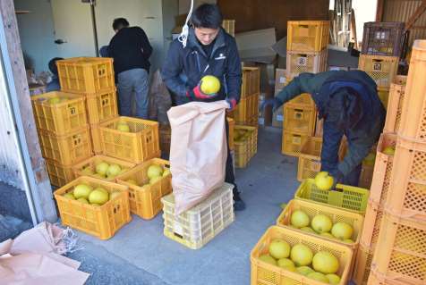 全国の銭湯へボンタンを発送するＢプロメンバーら＝２０２４年１月、阿久根市大川