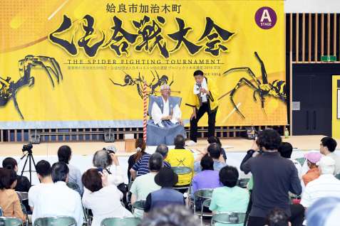 舞台上のくもに視線を注ぐ見物客＝１５日、姶良市役所加治木支所