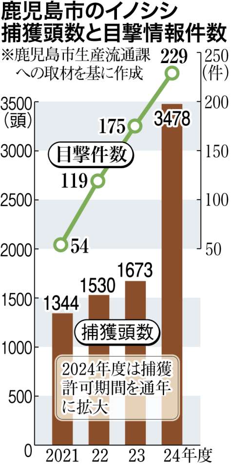 鹿児島市のイノシシ捕獲頭数と目撃情報件数の推移をグラフで分かりやすく