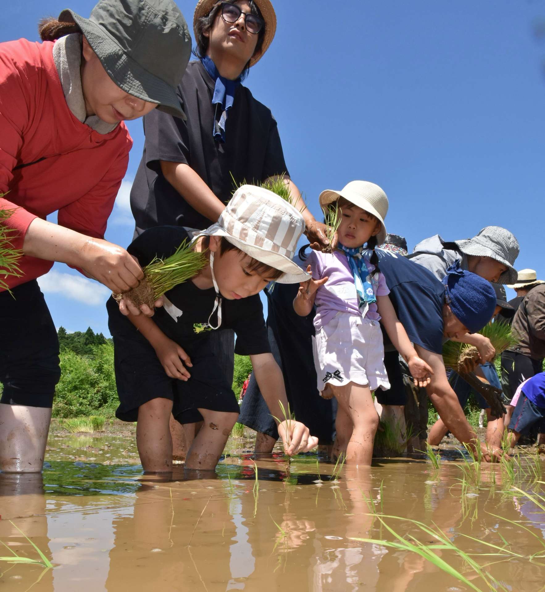 手植えをする親子連れ＝伊佐市大口山野