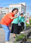 〈当選から一夜明け〉甲突川沿いでつじ立ちする尾辻朋実さん＝２１日午前８時２０分ごろ、鹿児島市