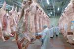 米国向けを含む牛肉の輸出拠点となっているＪＡ食肉かごしま南薩工場＝１４日、南九州市