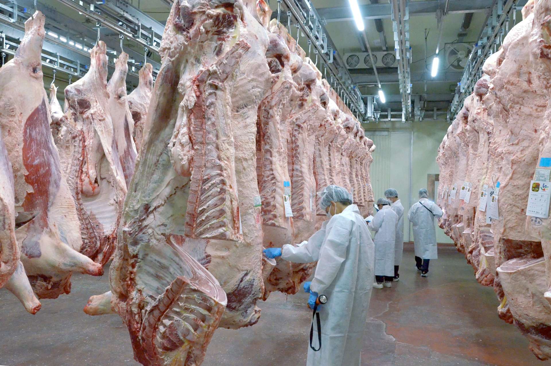米国向けを含む牛肉の輸出拠点となっているＪＡ食肉かごしま南薩工場＝１４日、南九州市
