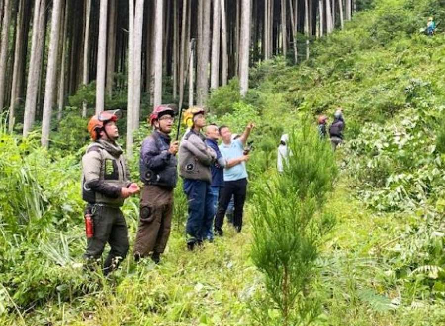 再造林に欠かせない雑草の下刈り作業を学ぶ県内の若手林業関係者ら＝１５日、南九州市川辺（和興産業提供）