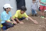 丁寧に種まきをする子どもたち＝２３日、大和村のアマミノクロウサギミュージアムＱｕｒｕＧｕｒｕ