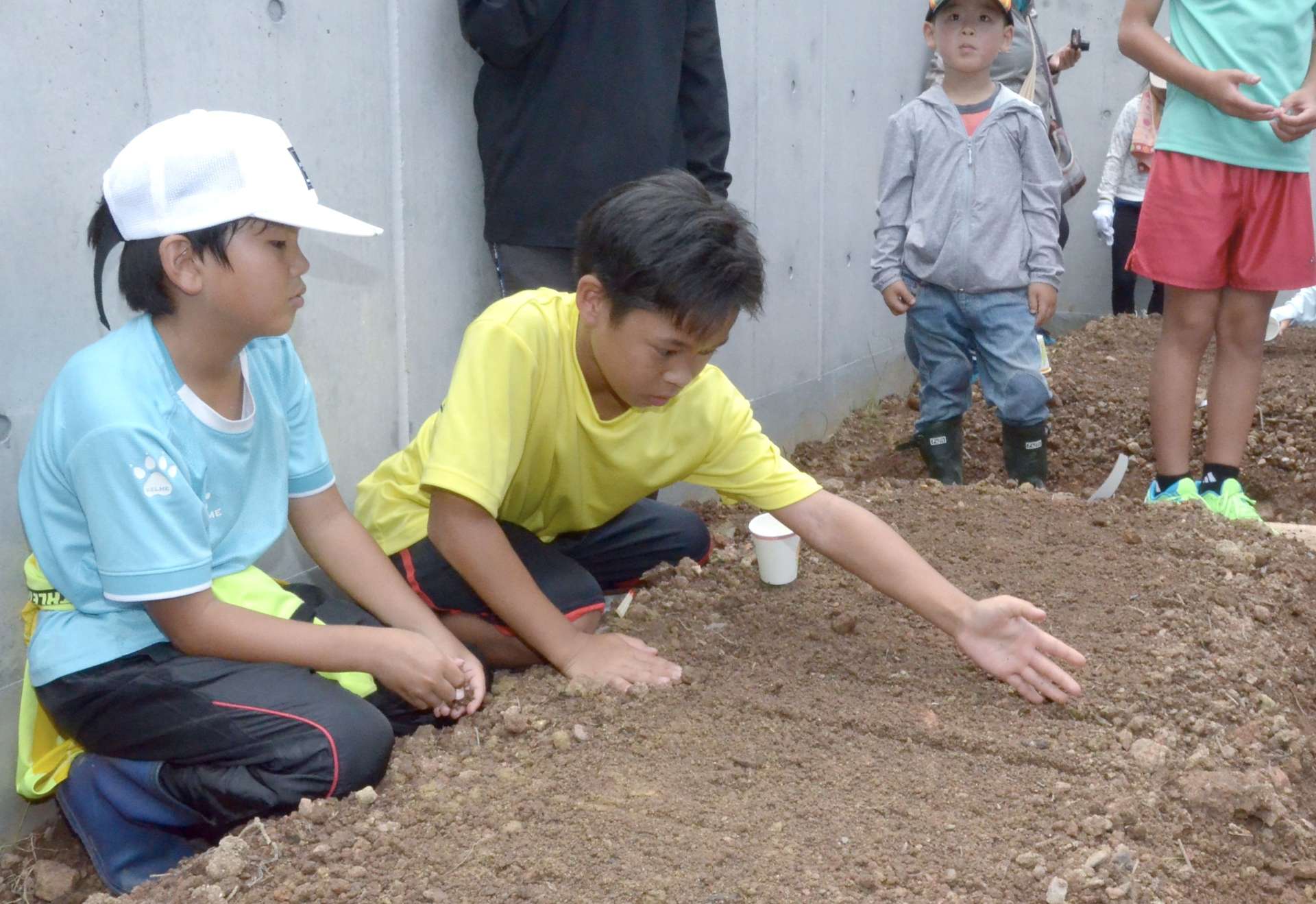 丁寧に種まきをする子どもたち＝２３日、大和村のアマミノクロウサギミュージアムＱｕｒｕＧｕｒｕ