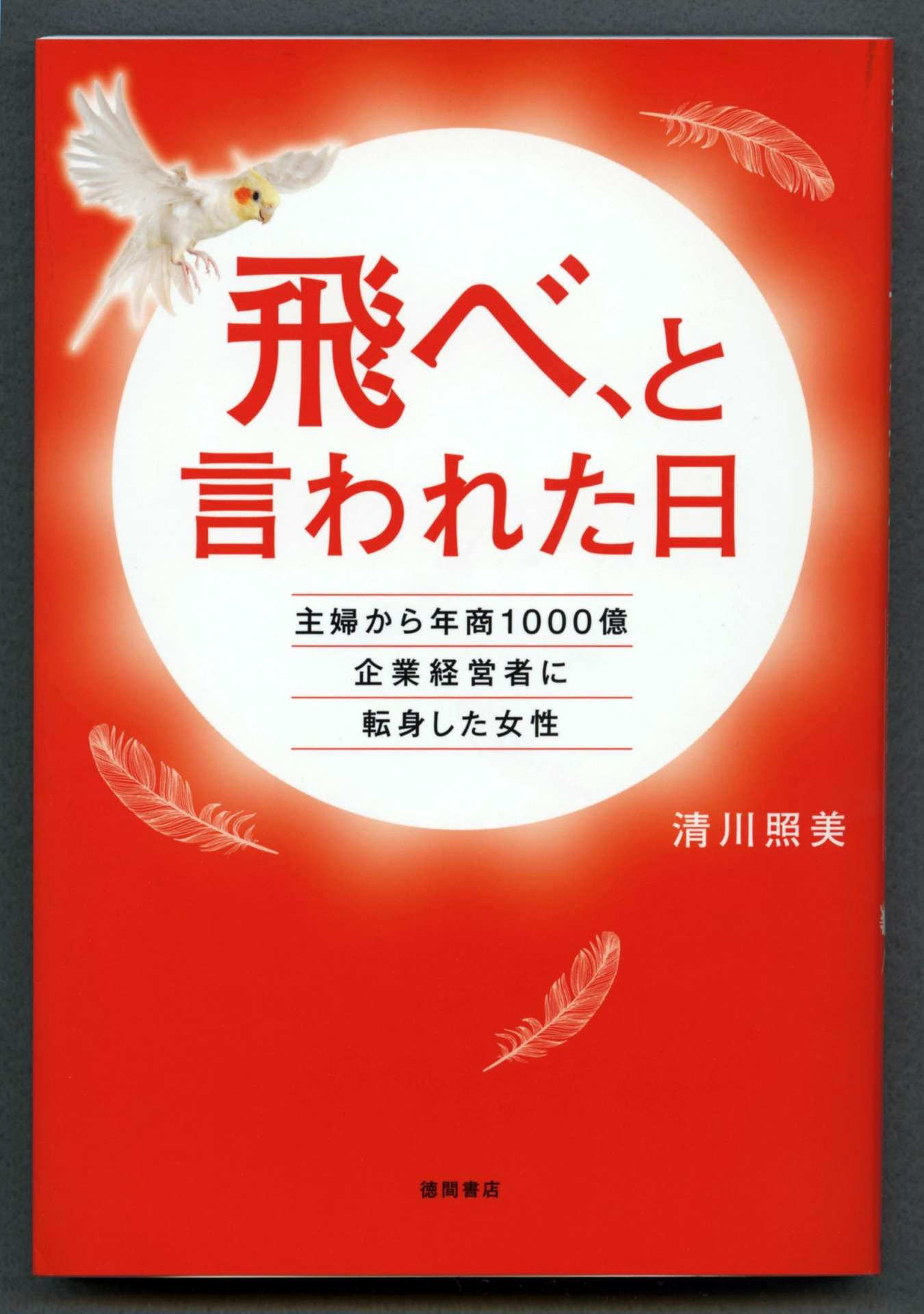 〈フィクション小説〉「飛べ、と言われた日」の表紙