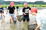 田んぼの生物を調べる東郷学園義務教育学校の児童＝薩摩川内市東郷町斧渕