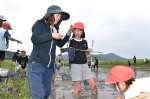 田んぼの生物を調べる東郷学園義務教育学校の児童＝薩摩川内市東郷町斧渕