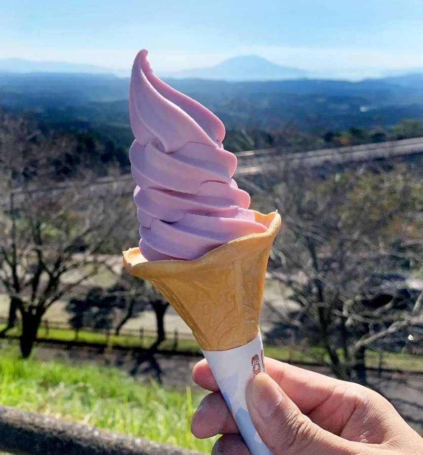 自家栽培のブルーベリーを使ったソフトクリーム「そっと霧～夢」＝霧島神話の里公園