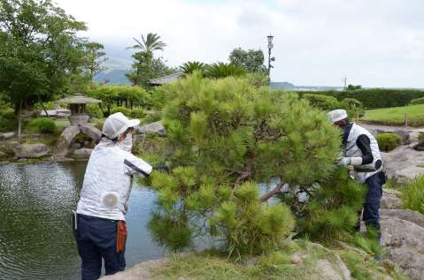 ファン付きの作業服を着て庭園を整備する従業員＝鹿児島市の仙巌園