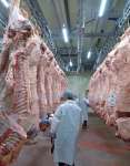 米国向け県内農林水産物輸出で最多の牛肉。生産者は関税率に気をもむ＝南九州市