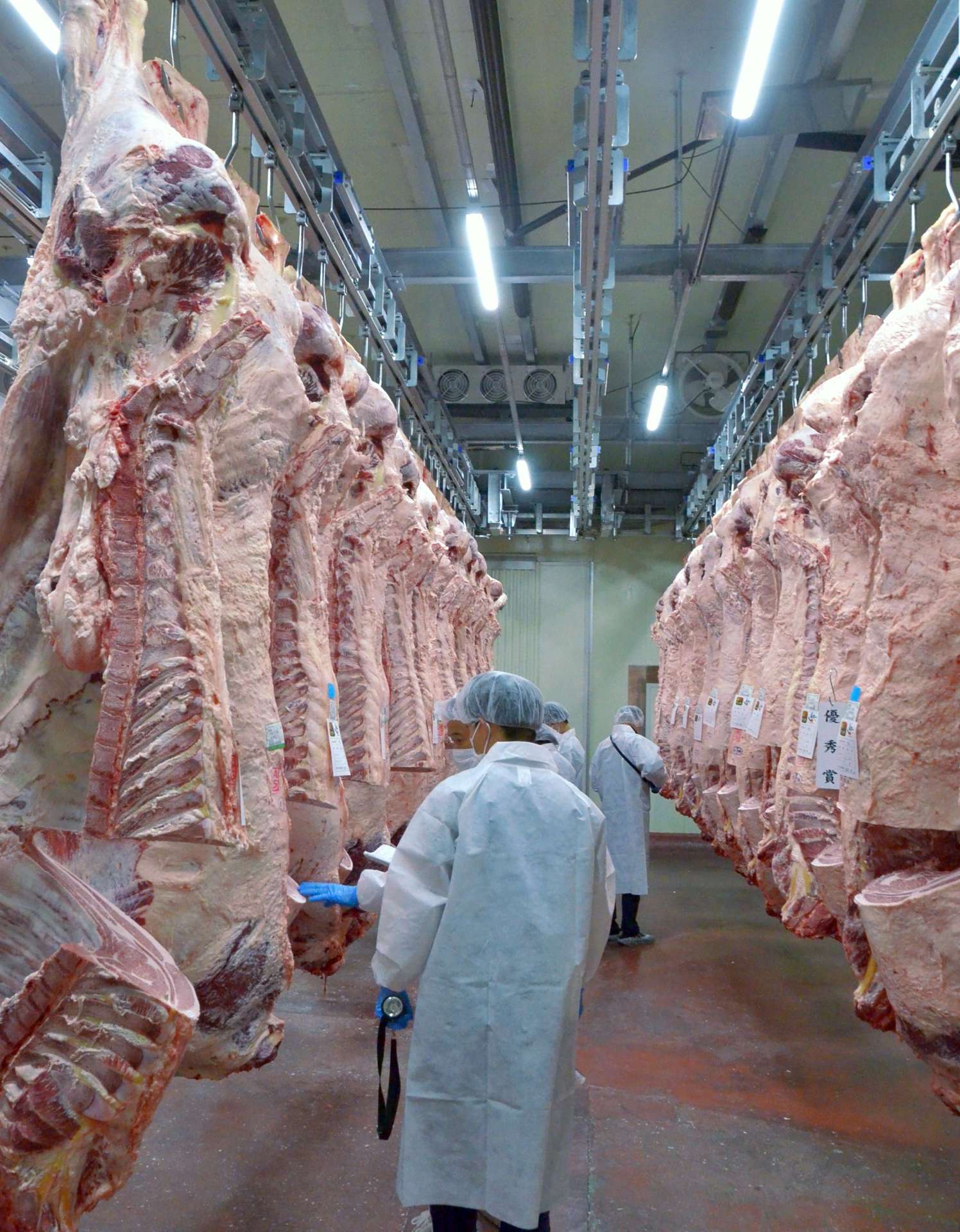 米国向け県内農林水産物輸出で最多の牛肉。生産者は関税率に気をもむ＝南九州市
