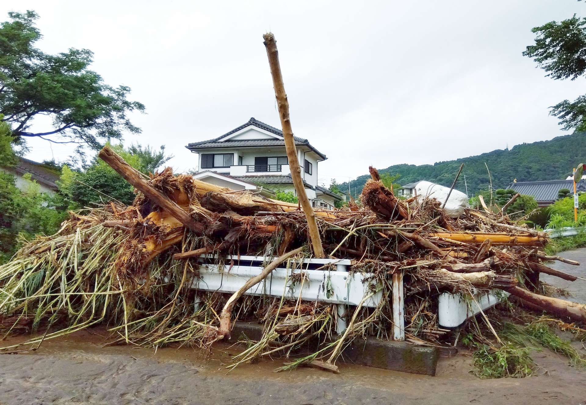 橋の欄干にせき止められた流木＝８日午後３時４５分、霧島市福山