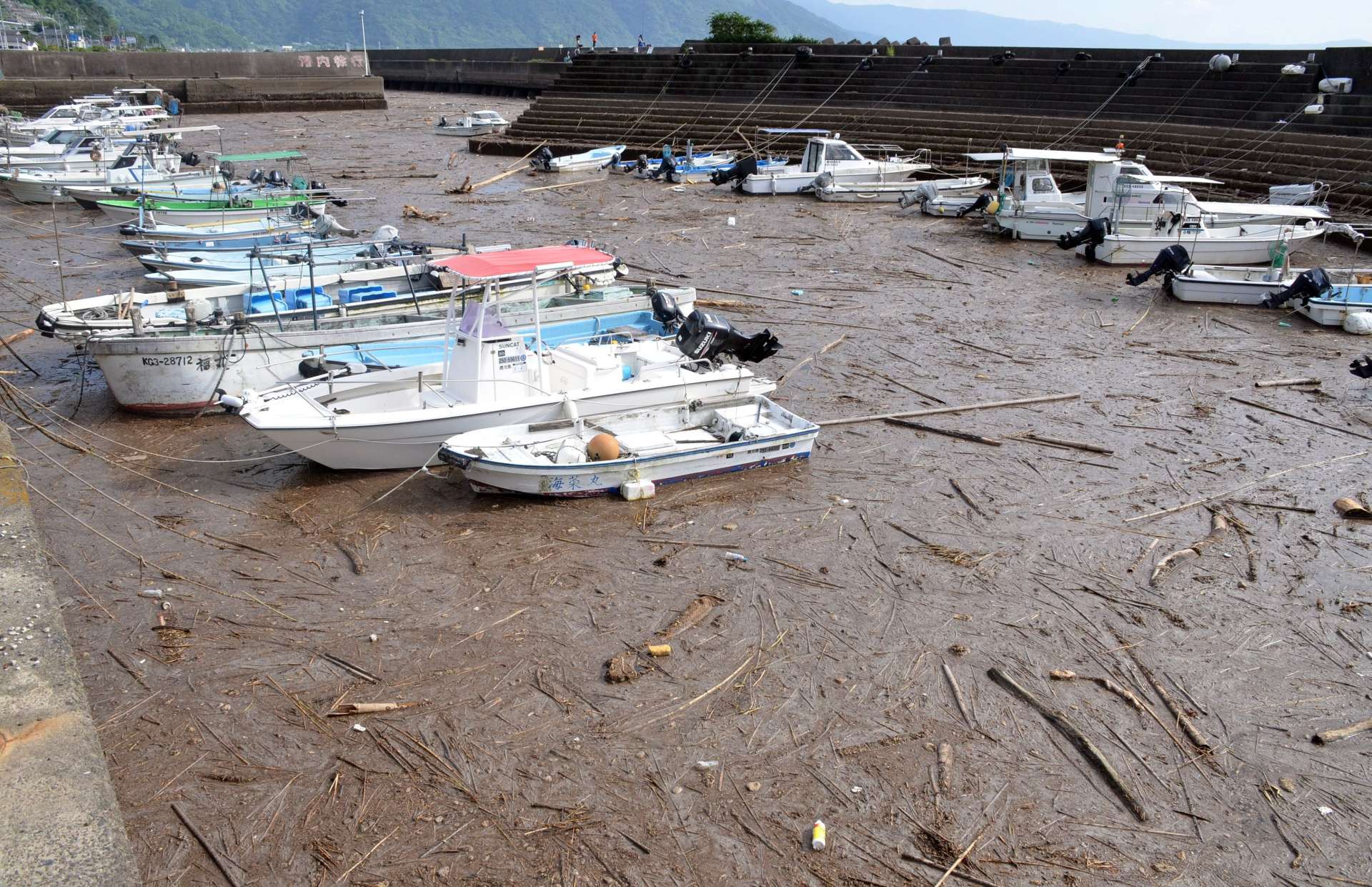 大量の流木で埋まった福山港＝１２日、霧島市福山町福山