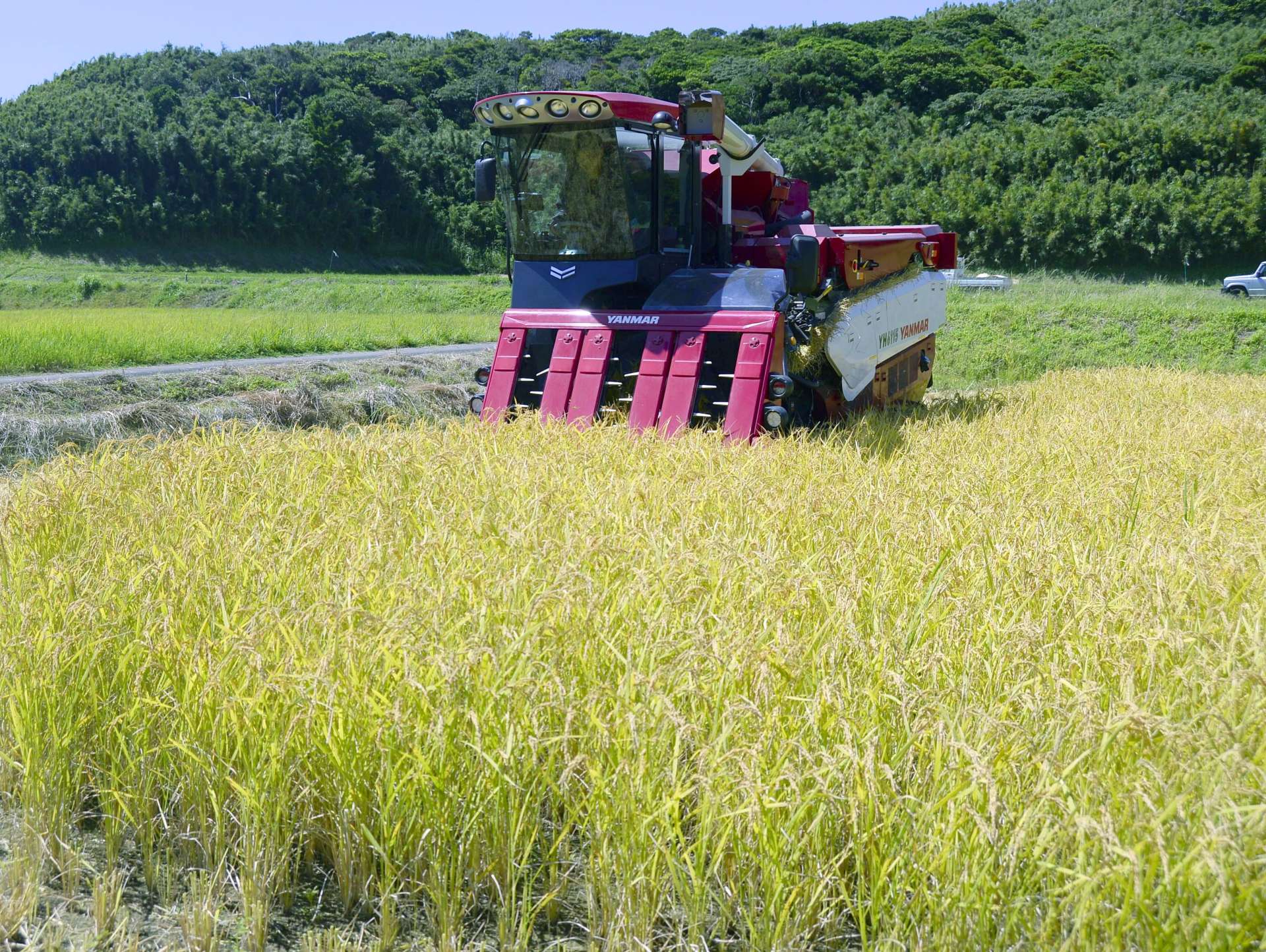 直播き農法で栽培されたコメの収穫作業＝中種子町野間