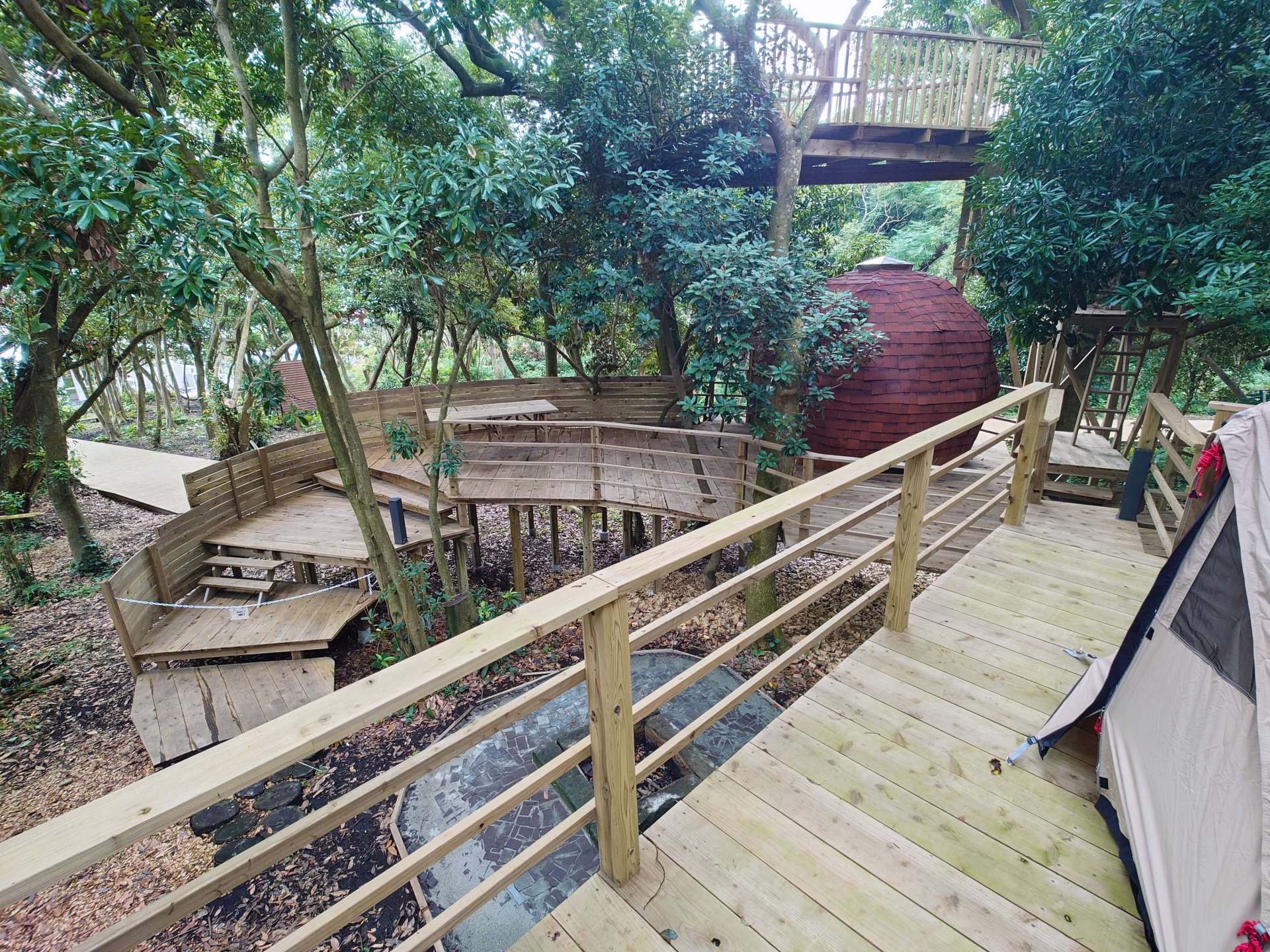 ツリーハウスでキャンプが楽しめる「ソナレの森」＝南九州市頴娃の番所鼻自然公園