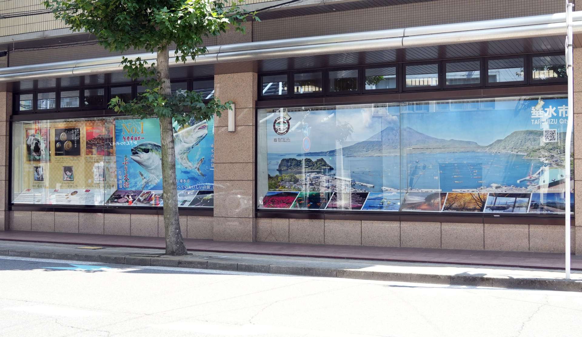 垂水市の特産品や観光名所をＰＲする展示パネル＝１８日、鹿児島市泉町の鹿児島相互信用金庫本店