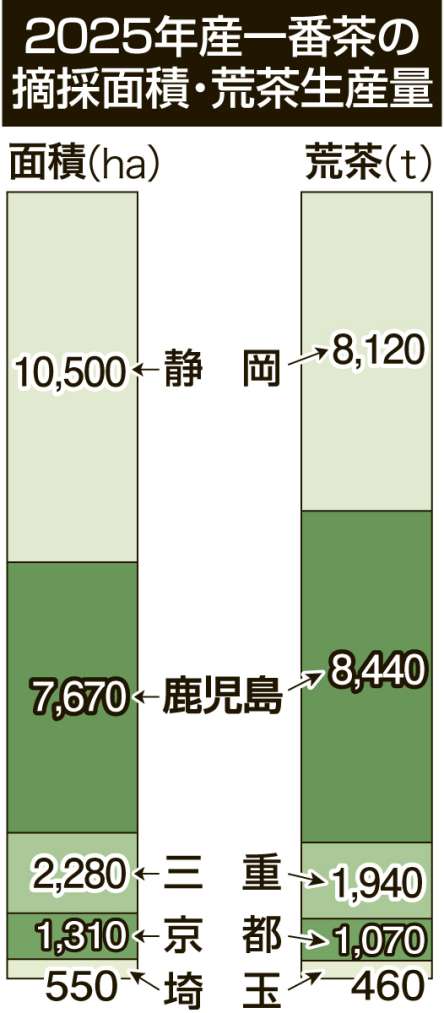 〈主産地５府県を比べた〉２５年度の一番茶の摘採面積と荒茶生産量が一目で分かる表を見る