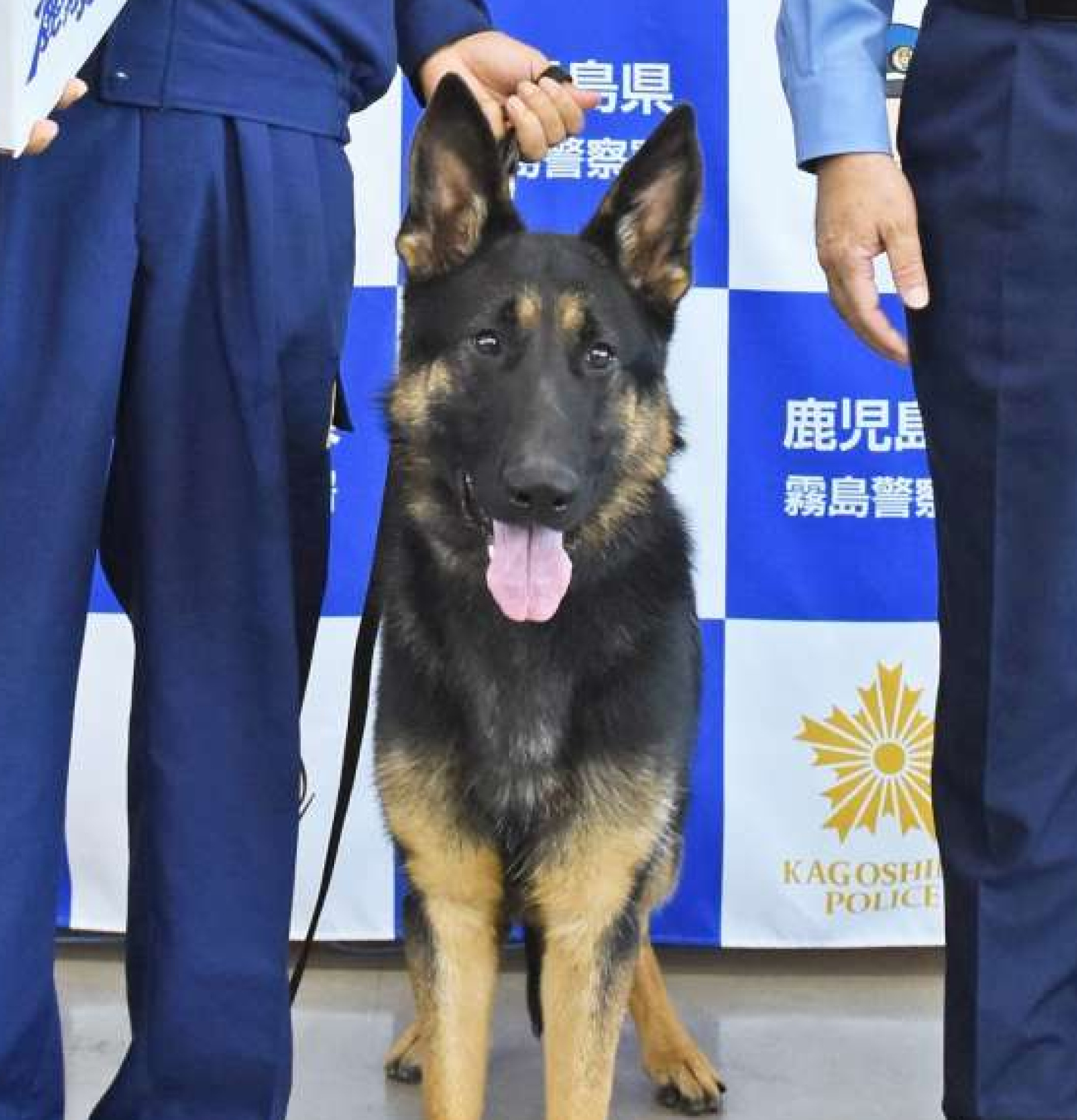 行方不明者を無事発見したウォルト・フォム・ネーベル・ドルフ号＝２７日、霧島市の霧島警察署