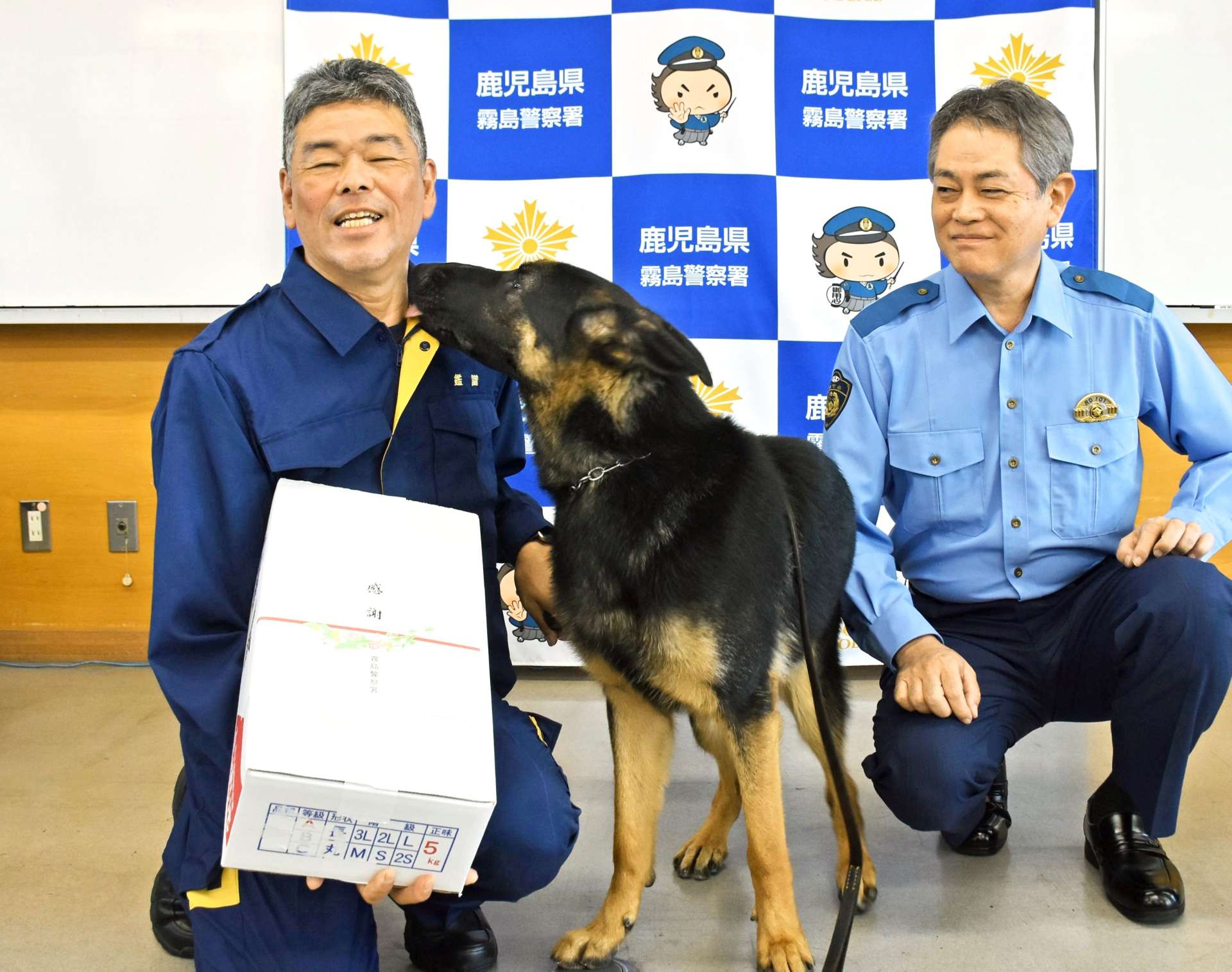 副賞のサツマイモをもらってうれしそうに福留明光さんをペロペロするウォルト号
