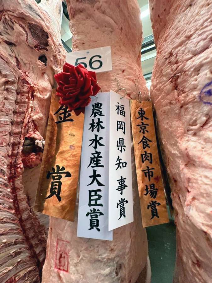 最高賞の金賞を獲得した竹中真紀さんの出品牛の枝肉＝６日、福岡県（ＪＡ鹿児島県経済連提供）